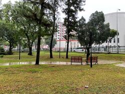 Blk 12 TOA PAYOH COURT (Toa Payoh), HDB 3 Rooms #543484331